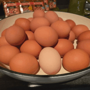 farm fresh eggs